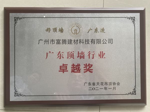 廣東頂墻卓越獎